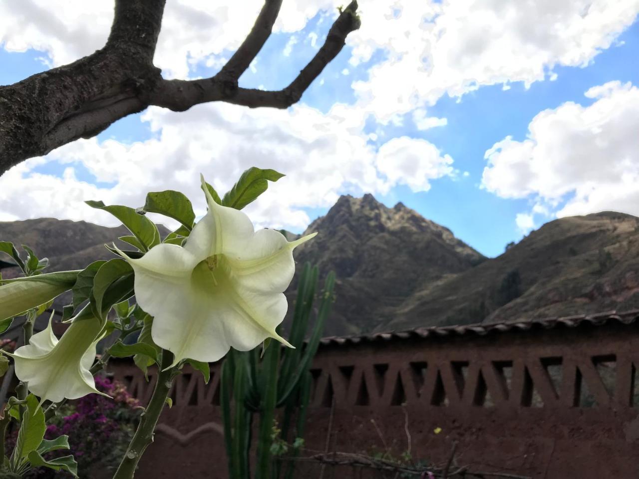Pisac Inca Guest House ภายนอก รูปภาพ